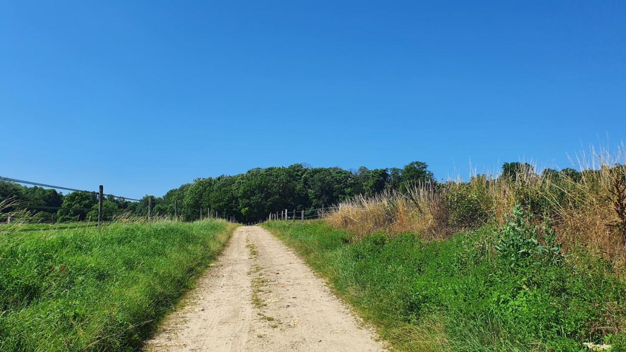 Les Petits Greniers Appartement Jonquières Buitenkant foto